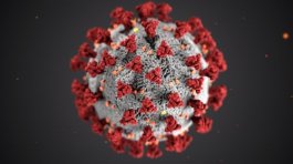 Corona virus - Covid 19 - breaking news - epidemie - pandemie